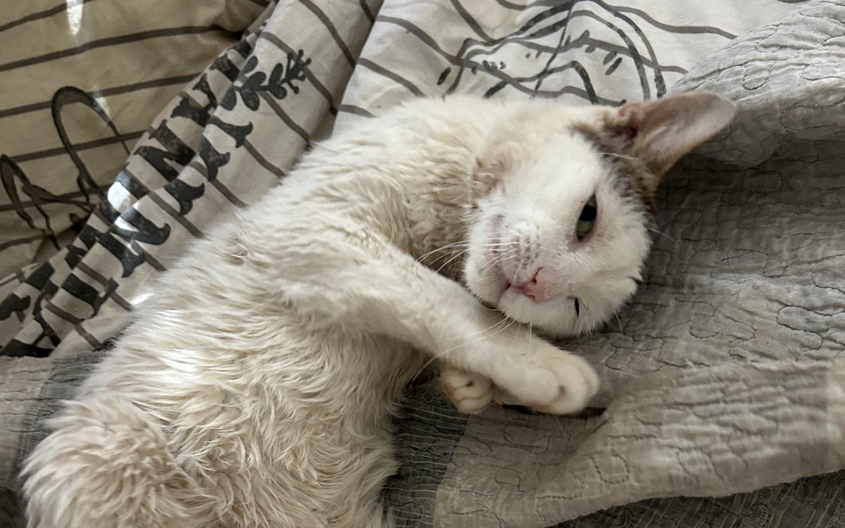 Felix și partea pe care nu o vede nimeni