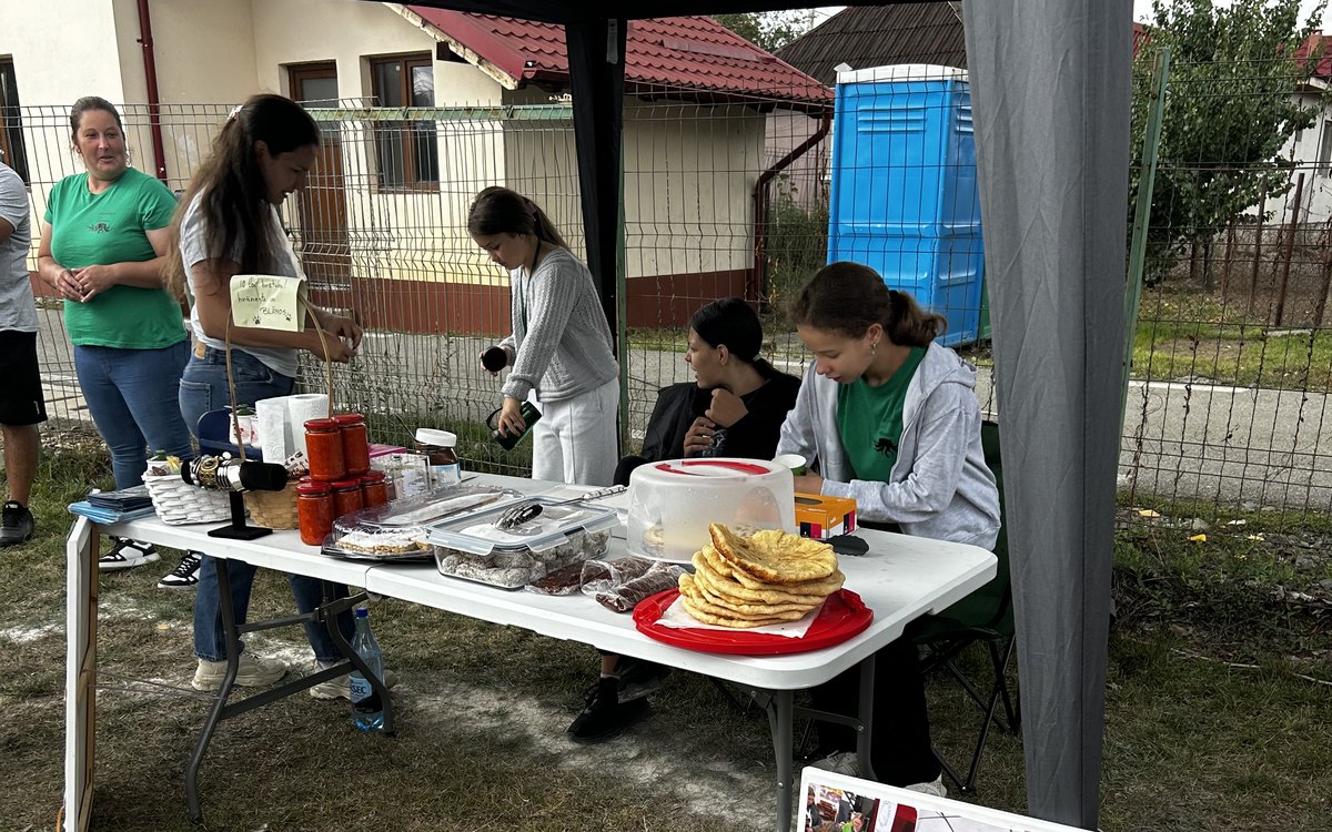 Septembrie la Dumbrava: tratamente, reparații și viața de zi cu zi