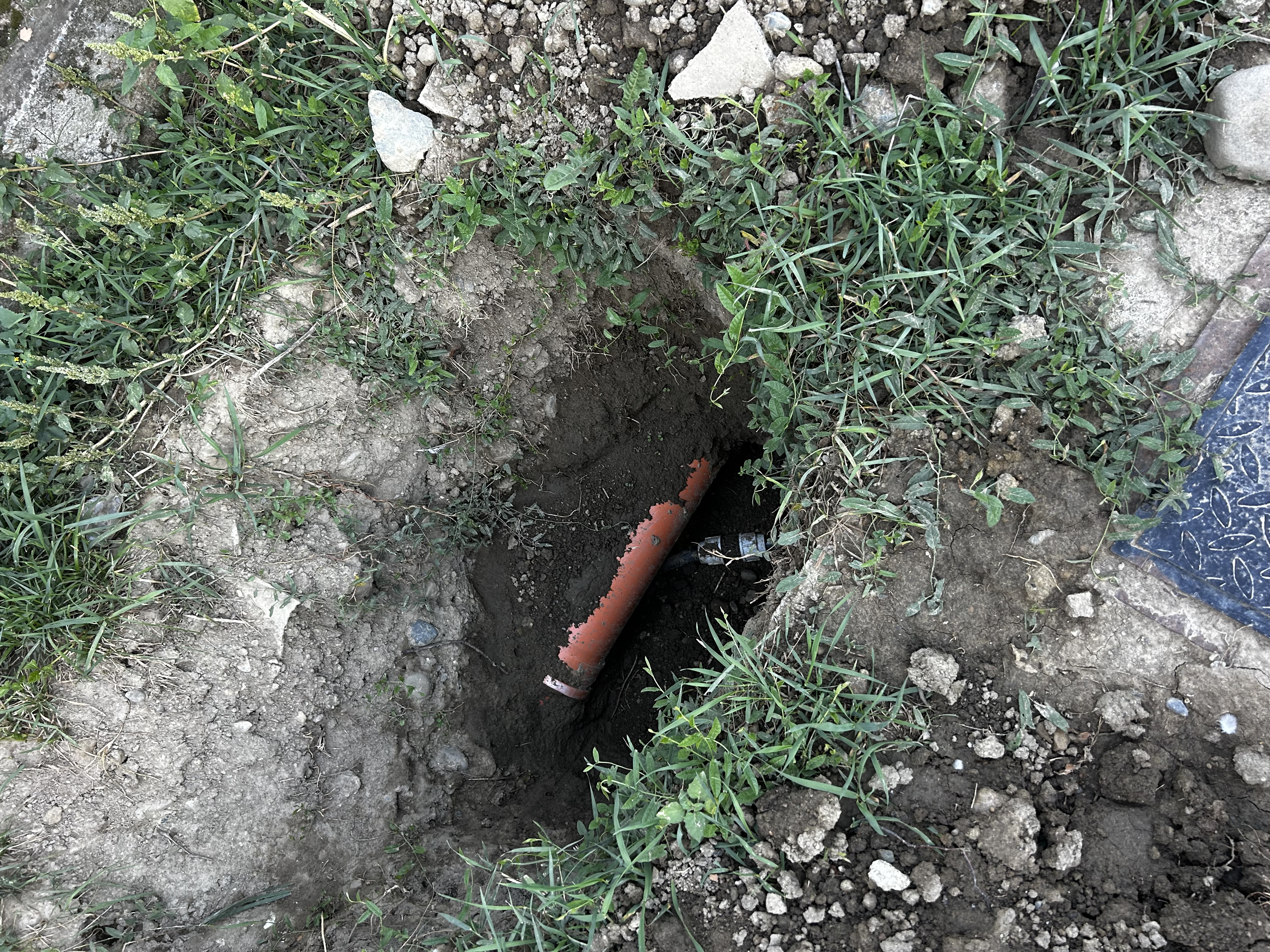 Septembrie la Dumbrava: tratamente, reparații și viața de zi cu zi